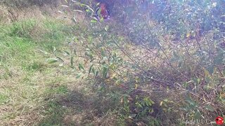 غريب قضي المرأة القطة في الفم بعد التأمل في الغابة